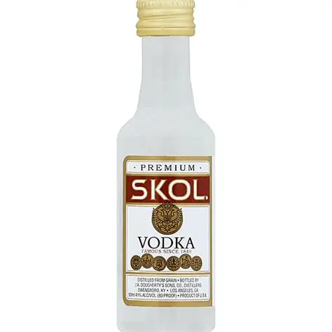 Skol Vodka 50ML